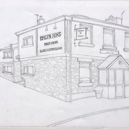Bed and Breakfast Emlyn Arms Llanarthney Esterno foto