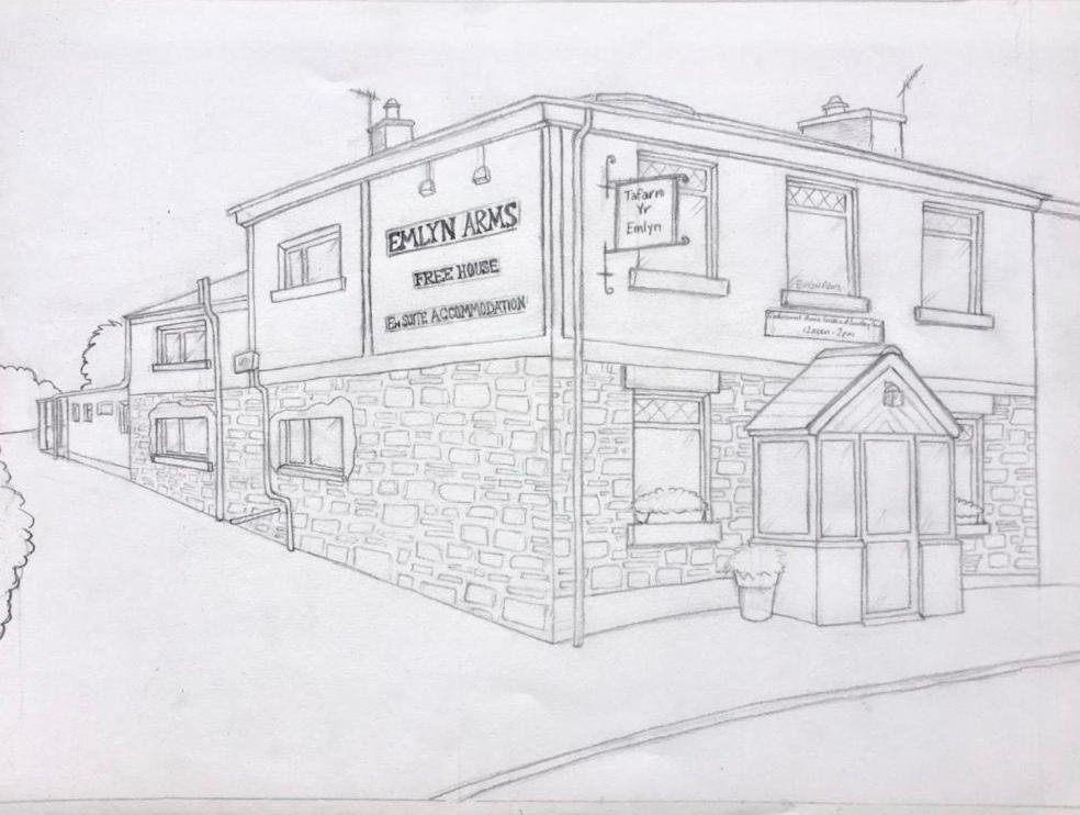 Bed and Breakfast Emlyn Arms Llanarthney Esterno foto