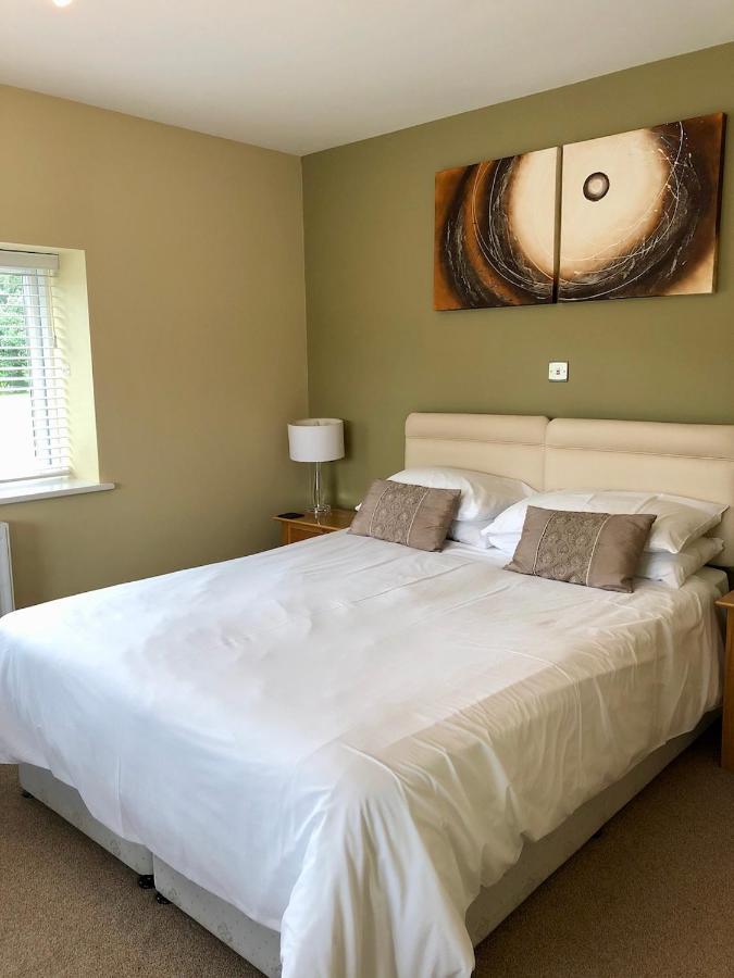 Bed and Breakfast Emlyn Arms Llanarthney Esterno foto