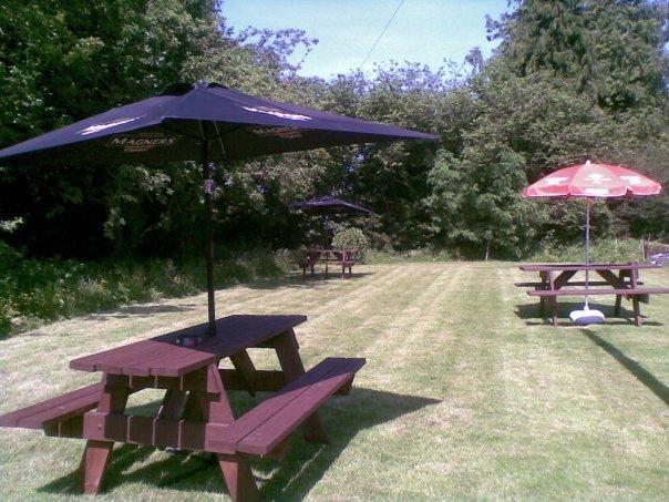 Bed and Breakfast Emlyn Arms Llanarthney Esterno foto